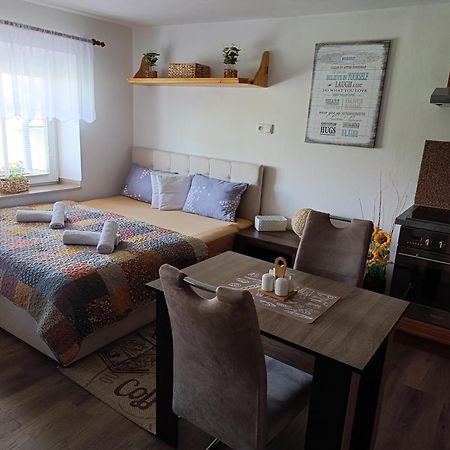 Apartamento U Bocmana S Vyhledem Na Zamek A Labe Decin Exterior foto