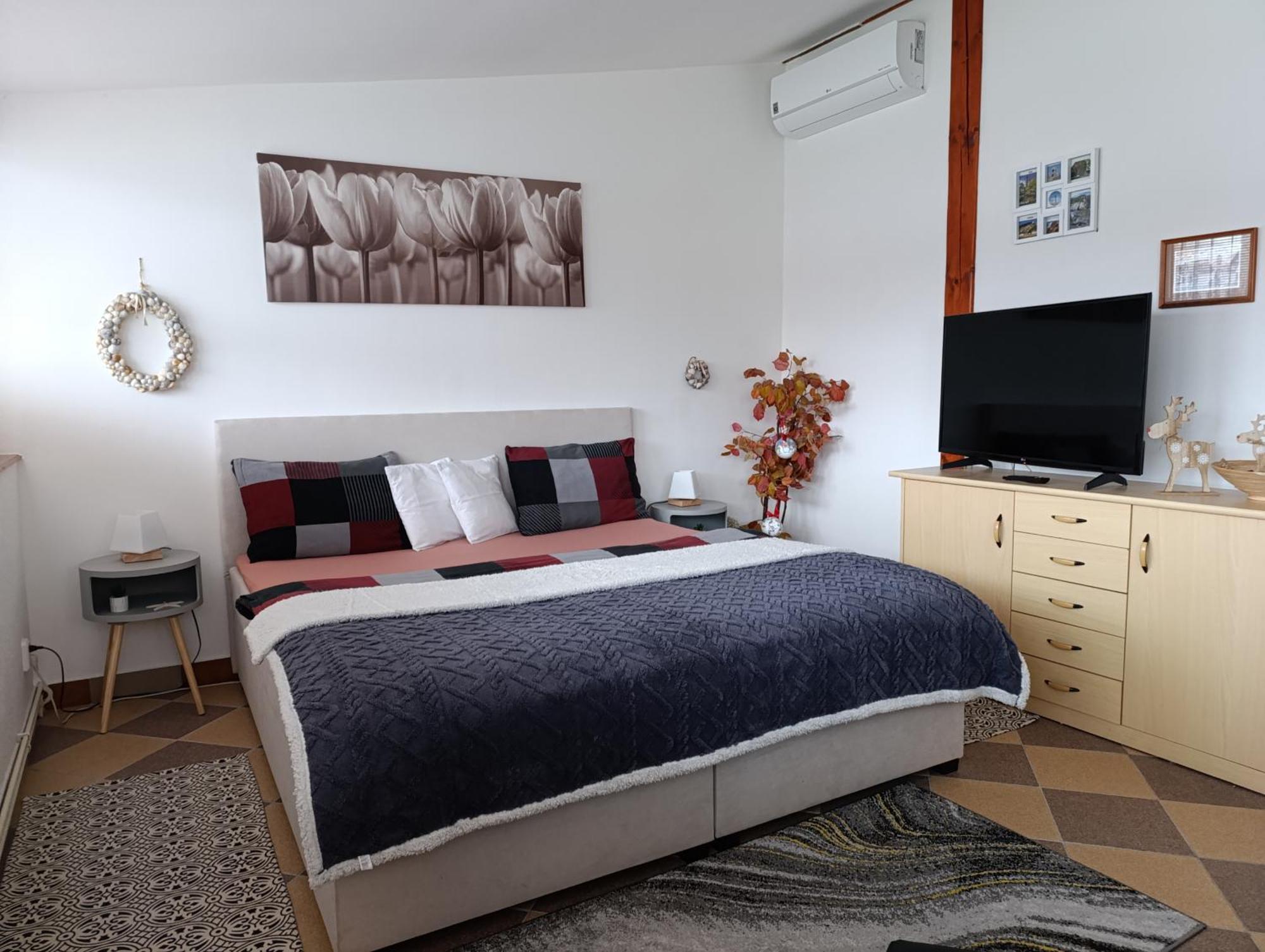 Apartamento U Bocmana S Vyhledem Na Zamek A Labe Decin Exterior foto