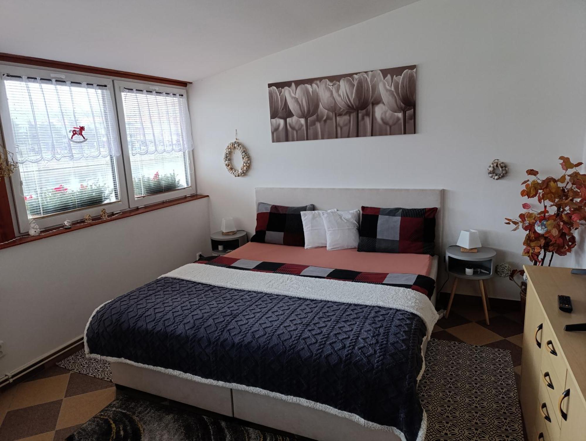 Apartamento U Bocmana S Vyhledem Na Zamek A Labe Decin Exterior foto