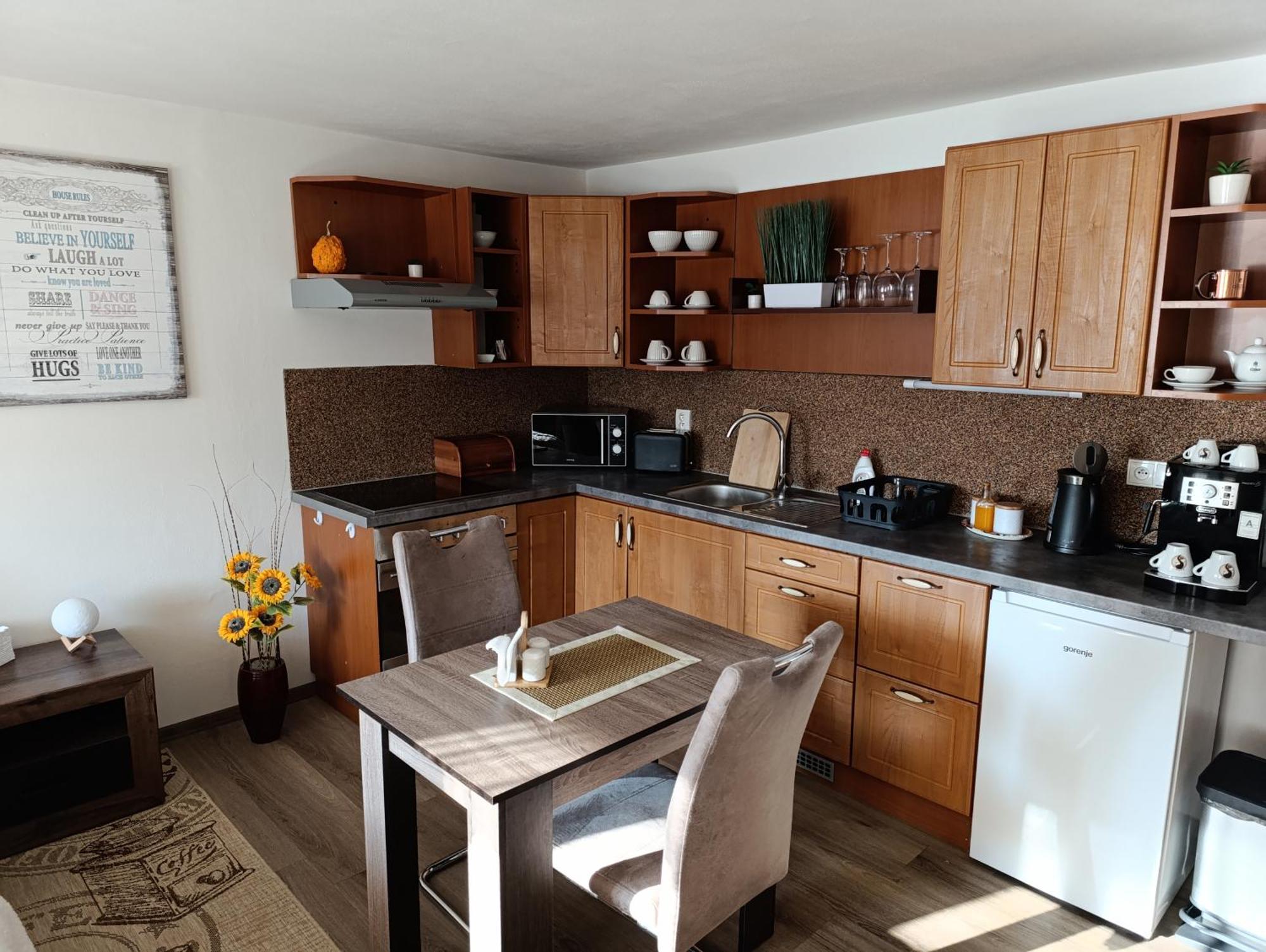 Apartamento U Bocmana S Vyhledem Na Zamek A Labe Decin Exterior foto